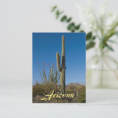 Carte postale Saguaro Cactus (Debout devant)