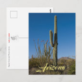 Carte postale Saguaro Cactus (Devant / Derrière)