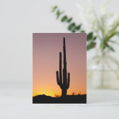 Carte Postale Saguaro Cactus au coucher du soleil (Debout devant)