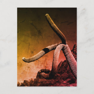Carte Postale Saguaro Cactus Beaux-Arts Photographie