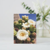 Carte Postale Saguaro Cactus Blossom - Arizona State Flower (Debout devant)