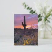 Carte Postale Saguaro Cactus coucher de soleil No1 (Debout devant)