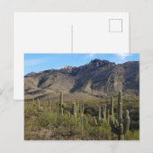 Carte Postale Saguaro Cactus et Catalina Mountains, Tucson AZ (Devant / Derrière)