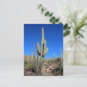 Carte Postale Saguaro Cactus no 1 (Debout devant)