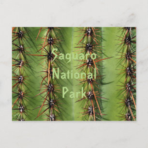 Carte Postale Saguaro Cactus Spines Gros plan, Saguaro Ntl. Parc