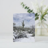 Carte Postale Saguaro dans la neige (Debout devant)