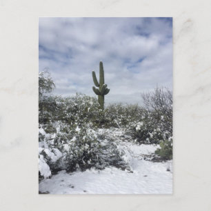 Carte Postale Saguaro dans la neige