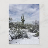 Carte Postale Saguaro dans la neige (Devant)