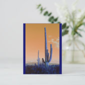 Carte Postale Saguaro en bleu (Debout devant)