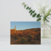 Carte Postale Saguaro Sunset I Arizona Désert Paysage (Debout devant)