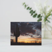 Carte Postale Saguaro Sunset III Arizona Desert Paysage (Debout devant)