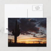 Carte Postale Saguaro Sunset III Arizona Desert Paysage (Devant / Derrière)