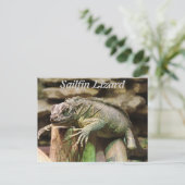 Carte Postale Sailfin Lizard (Debout devant)