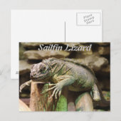 Carte Postale Sailfin Lizard (Devant / Derrière)