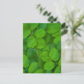 Carte Postale Saint Basil Tulsi Green Mint Feuilles (Debout devant)