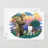 Carte Postale Saint Bernard (Devant / Derrière)