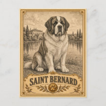 Saint Bernard, Chien du Patrimoine Vintage