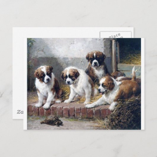 Carte Postale Saint Bernard chiots tortues mignonnes peintures c (Devant / Derrière)