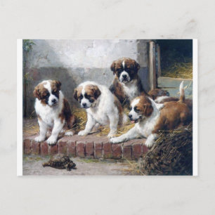 Carte Postale Saint Bernard chiots tortues mignonnes peintures c