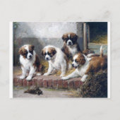 Carte Postale Saint Bernard chiots tortues mignonnes peintures c (Devant)
