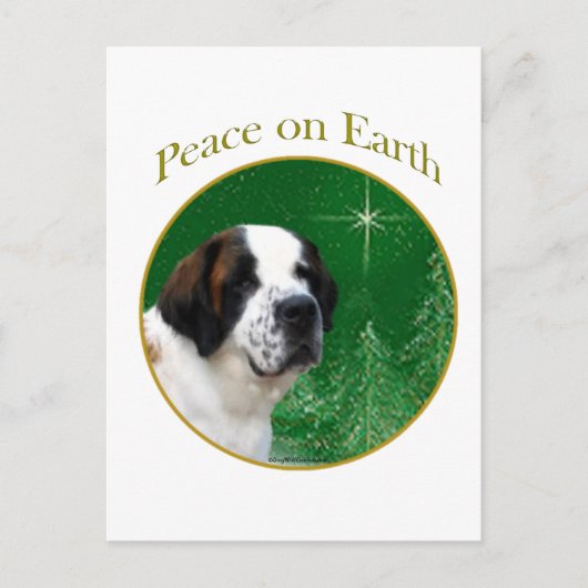 Carte Postale Saint Bernard Peace (Devant)