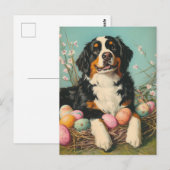 Carte Postale Saint Bernard Vintage Pâques (Devant / Derrière)