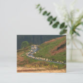 Carte postale Saint-David's Day (Debout devant)