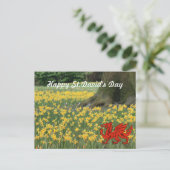Carte Postale Saint-David's Day Daffodils (Debout devant)