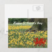 Carte Postale Saint-David's Day Daffodils (Devant / Derrière)