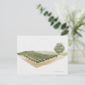 Carte Postale Saint-Emilion, France (Debout devant)