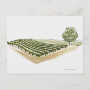 Carte Postale Saint-Emilion, France