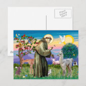 Carte Postale Saint François et bébé lama (Devant / Derrière)