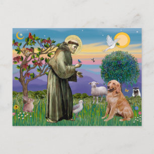 Carte Postale Saint François - Golden Retriever (#1)