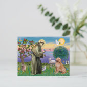 Carte Postale Saint François - Retriever doré (#1) (Debout devant)