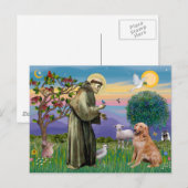 Carte Postale Saint François - Retriever doré (#1) (Devant / Derrière)