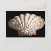 Carte Postale Saint Jacques 3236 (Devant)