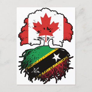Carte Postale Saint-Kitts-Kittiti Canadian Canada Arbre Racines