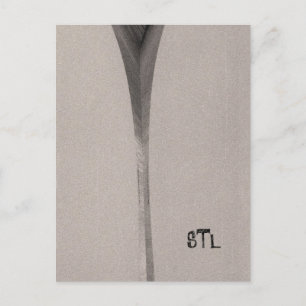 Carte Postale Saint Louis Arch