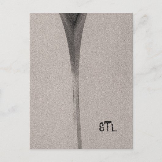 Carte Postale Saint Louis Arch (Devant)