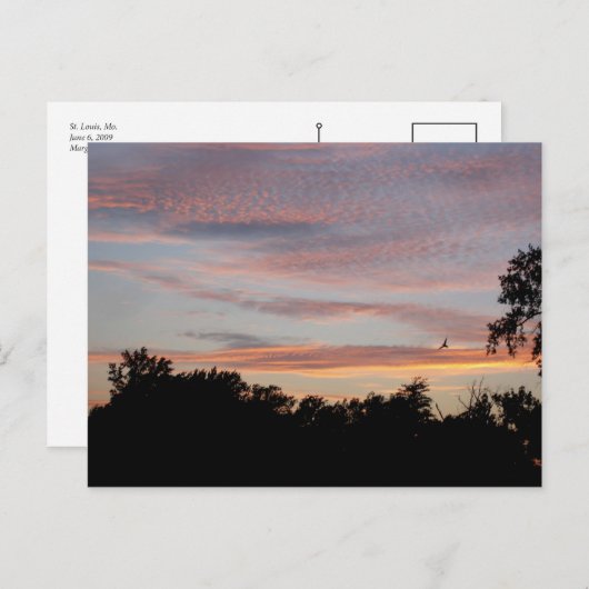 Carte Postale Saint-Louis Sunset (Devant / Derrière)