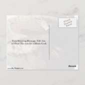 Carte Postale Saint Moïse Par Jusepe De Ribera (Dos)