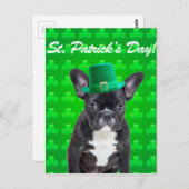 Carte Postale Saint Patrick, Chien de taureau français (Devant / Derrière)