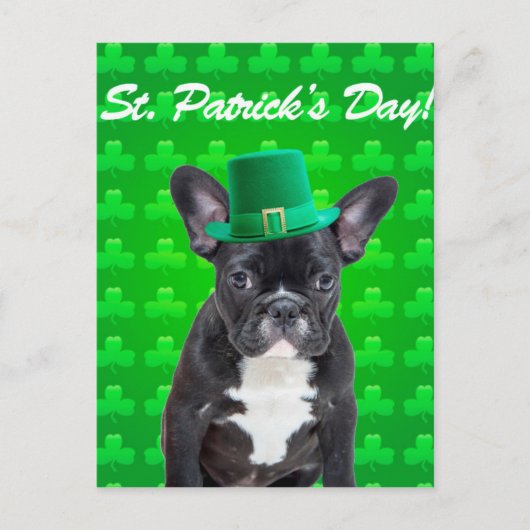 Carte Postale Saint Patrick, Chien de taureau français (Devant)