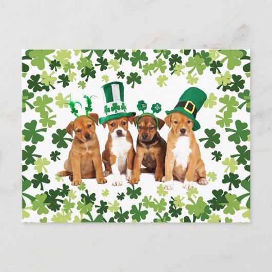 Carte Postale Saint Patrick's Day (Devant)
