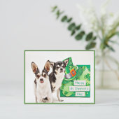 Carte Postale Saint Patrick's Day Chihuahua's (Debout devant)