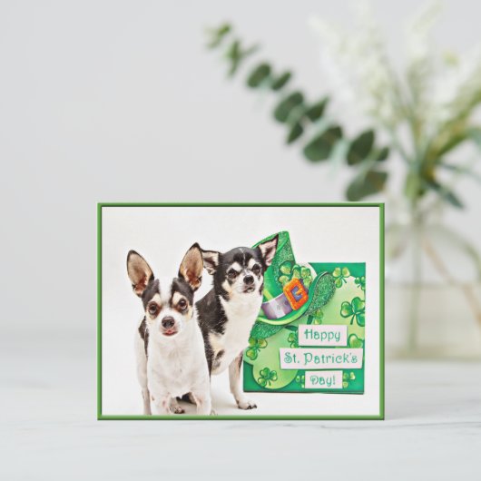 Carte Postale Saint Patrick's Day Chihuahua's (Debout devant)