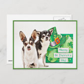 Carte Postale Saint Patrick's Day Chihuahua's (Devant / Derrière)