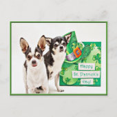Carte Postale Saint Patrick's Day Chihuahua's (Devant)