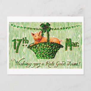 Carte Postale Saint Patrick's Day Lucky Pig, Vintage