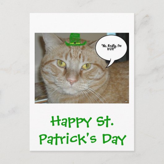 Carte Postale Saint Patrick's Day Orange Tabby Cat (Devant)